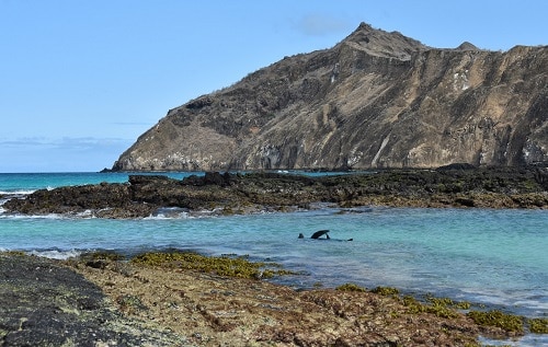 Cerro Brujo Galápagos