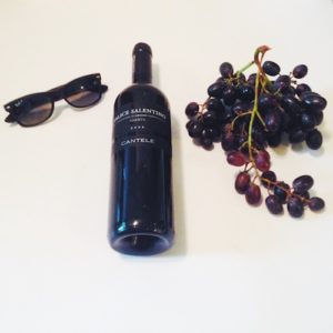 ¿Qué son los taninos?  |  Aprende la definición científica de Taninos en el Vino |  Winetraveler.com