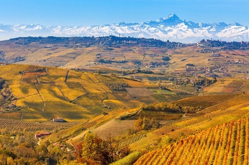 Itinerario de viaje: Langhe-Roero y Monferrato en Piamonte • Winetraveler