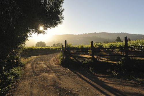 mejores regiones vinícolas prometedoras de todo el mundo |  Winetraveler.com