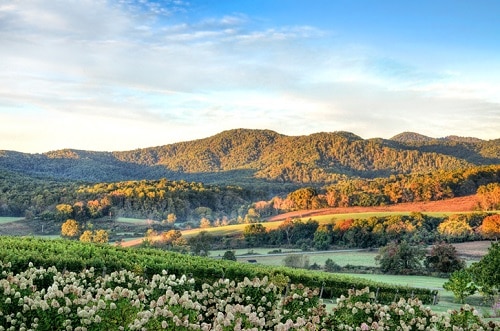 El sol se pone sobre el Monticello AVA cerca de Charlottesville, Virginia.