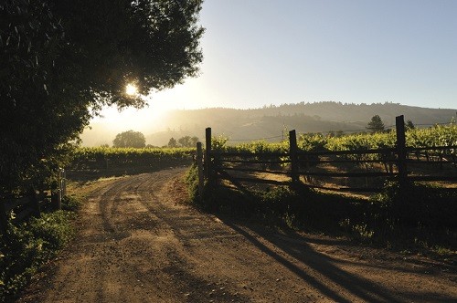 Las mejores bodegas de Anderson Valley |  Winetraveler.com