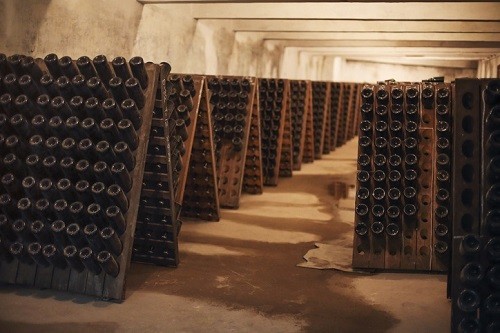 Imagen de botellas de champán en la bodega para adivinar: ¿qué es el champán de cultivador?  |  Winetraveler.com