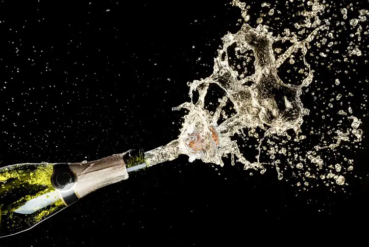 ¿Es lo mismo vino espumoso que champán?  |  Winetraveler.com